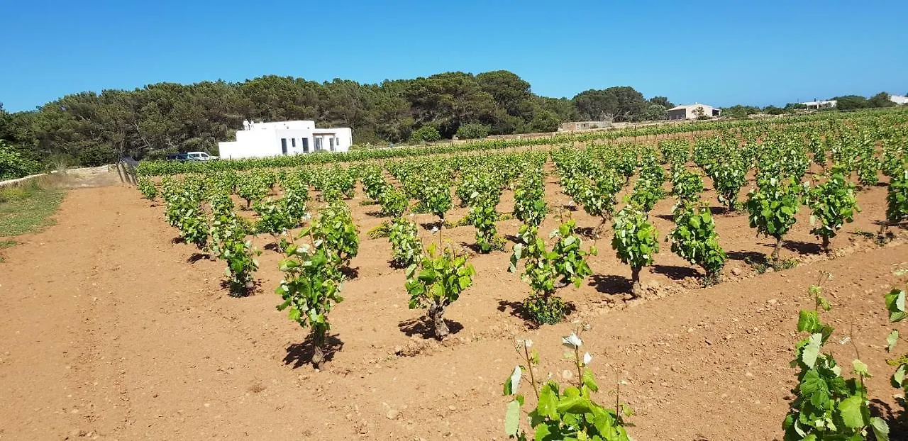 Ses Vinas De Cas Baixero Holiday home La Mola 0*,  Spain